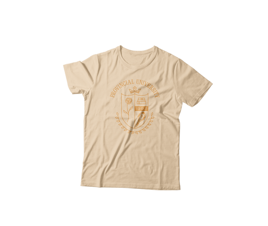 Provincial University